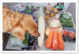 口コミ：ニラと豚肉チヂミ☆九州・熊本産のお野菜セット10品目の画像（1枚目）