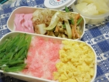 「3色ご飯弁当」の画像（1枚目）