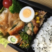 日々のお弁当