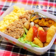 二色弁当