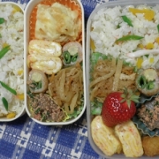 混ぜ込み寿司弁当