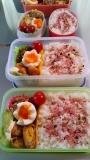 「毎日お弁当」の画像（2枚目）