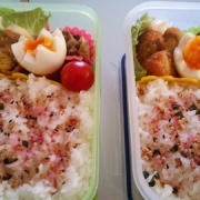 毎日お弁当