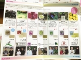 口コミ：香り高い京都産柚子を使用した【柚子石鹸】の画像（6枚目）
