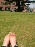 大学の芝生