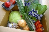 口コミ：【モニター】九州・熊本産のお野菜セット10品目の画像（7枚目）