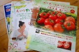 口コミ：【モニター】九州・熊本産のお野菜セット10品目の画像（10枚目）