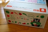 口コミ：【モニター】九州・熊本産のお野菜セット10品目の画像（11枚目）