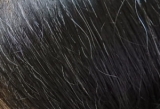 口コミ：髪と頭皮のプロが作ったヘアカラートリートメントの画像（2枚目）