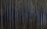 口コミ：髪と頭皮のプロが作ったヘアカラートリートメントの画像（1枚目）