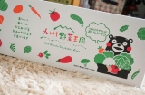 口コミ記事「九州・熊本産のお野菜セット10品目をモニターするよ。」の画像