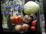 口コミ：九州野菜王国さんの新鮮野菜☆の画像（1枚目）