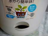 口コミ：水やり簡単植木鉢　URUOの画像（12枚目）
