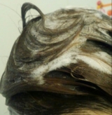 口コミ：黒ナマコエキス配合のヘアケア商品の画像（3枚目）