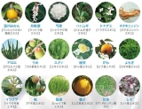 口コミ：世田谷自然食品から18種の和漢エキス配合オールインワンゲルが登場しためさせていただきましたの画像（4枚目）