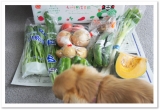 口コミ：きゅうりを使ってたまごサンド☆九州・熊本産のお野菜セット10品目の画像（1枚目）