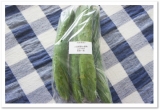 口コミ：きゅうりを使ってたまごサンド☆九州・熊本産のお野菜セット10品目の画像（3枚目）