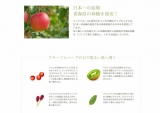 口コミ：☆10種類のフルーツエキスを配合した　美容ローション ティアフルール スキンローション☆の画像（10枚目）