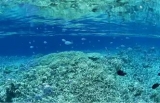 口コミ：沖縄サンゴの恵み♡入浴用浄水剤「珊瑚の湯」の画像（7枚目）