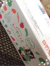 口コミ記事「九州野菜王国！！九州・熊本産のお野菜セット10品目」の画像