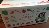 口コミ：九州野菜王国 九州・熊本産のお野菜セット10品目の画像（2枚目）