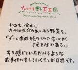 口コミ：九州野菜王国 九州・熊本産のお野菜セット10品目の画像（3枚目）