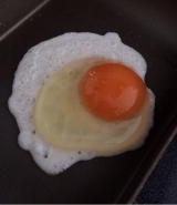 口コミ：天美卵で美味しい卵料理の画像（1枚目）