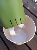 口コミ：たま～に水やりでOKな鉢！ミエルノPlus【モニター】の画像（10枚目）