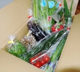 口コミ記事「九州野菜」の画像