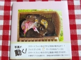 口コミ記事「♡写真が動くフォトブック♪みみちゃんが本の中で走ってる～！♡」の画像