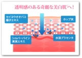 口コミ：もう怖くないニキビ跡 幹細胞コスメ 薬用 ピエリナ 化粧水 【 大人の本気のニキビ跡対策化粧水 】の画像（10枚目）