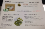 口コミ：京都産オーガニック青汁「桑の葉粉末」で体の中の掃除をしたい！の画像（1枚目）