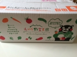口コミ記事「九州野菜王国野菜セット」の画像