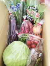 口コミ記事「九州野菜王国元気野菜セットを使ってお料理色々」の画像