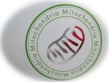 口コミ：Mitochondria MitochonSupple P3の画像（2枚目）