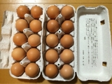 口コミ：☆大江ノ郷自然牧場の濃厚でコクのある天美卵☆の画像（2枚目）