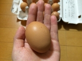 口コミ：☆大江ノ郷自然牧場の濃厚でコクのある天美卵☆の画像（3枚目）