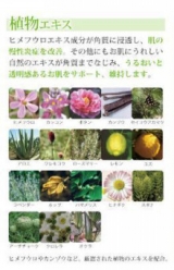口コミ：花や植物の恵みを詰め込んだ「フィオライズ」スキンローションIII☆株式会社コスメッツの画像（3枚目）