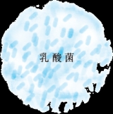 口コミ：日本盛のスキンケア『プモア　ミルキーローション』の画像（4枚目）