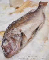 口コミ：★宇和海のゆらの鯛を使った　ゆら鯛塩釜　食べてみましたぁ♪の画像（8枚目）