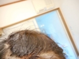 口コミ：煌髪(キラリ) 3点セット　 シャンプー & トリートメント & 白髪染め用カラー使ってみましたの画像（19枚目）