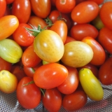 口コミ：EMセラミックによるトマトの好収穫&EM本格デビュー♥の画像（3枚目）