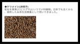 口コミ記事「すらりごぼう茶」の画像