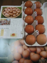 口コミ記事「☆美味しい卵かけ卵」の画像