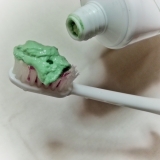 「プロポリス歯磨き粉」の画像
