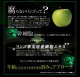 口コミ：リンゴ幹細胞…★ファンデーションの画像（1枚目）