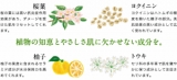 口コミ：日本酒酵母×乳酸菌のＷ美活エキス配合の化粧水の画像（3枚目）