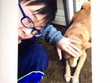 口コミ：日本の愛犬に健康を届けるバランスフード 〈プロフェッショナル・バランス〉の画像（4枚目）