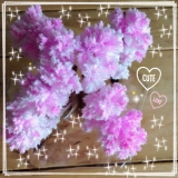 口コミ：あなたにはどんな幸せが訪れる？！12時間で咲く桜を育てる♪の画像（2枚目）