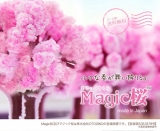 口コミ：あなたにはどんな幸せが訪れる？！12時間で咲く桜を育てる♪の画像（18枚目）